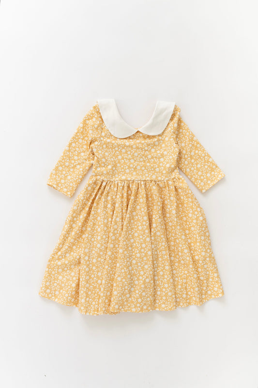 Rubina Pocket Twirl Dress in Custard Floral